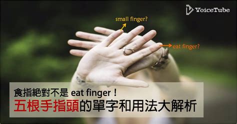 食指台語|五根手指頭的台語該怎麼說？「食指」的說法竟然是疊字？超級可。